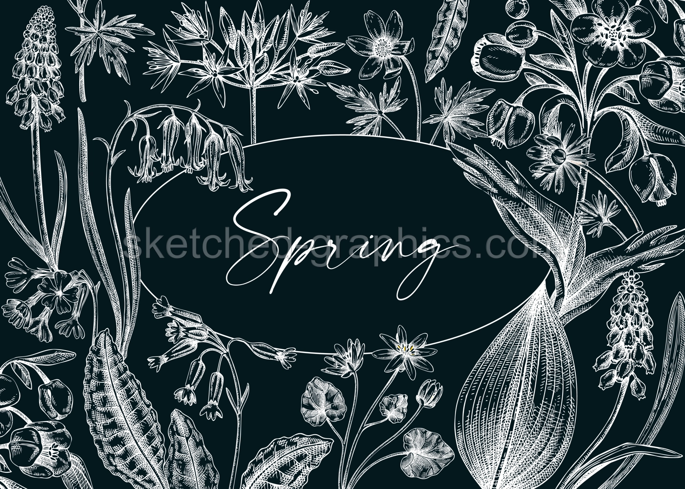 Vintage spring background. Hand drawn vector illustration. Floral frame on chalkboard. Woodland wild flower sketches. Wildflowers design template Illustration